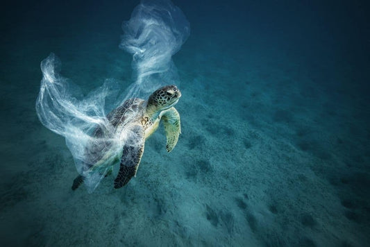 Meeplastik, recyceltes Polyester, Plastikmüll, Ozean, Müll,